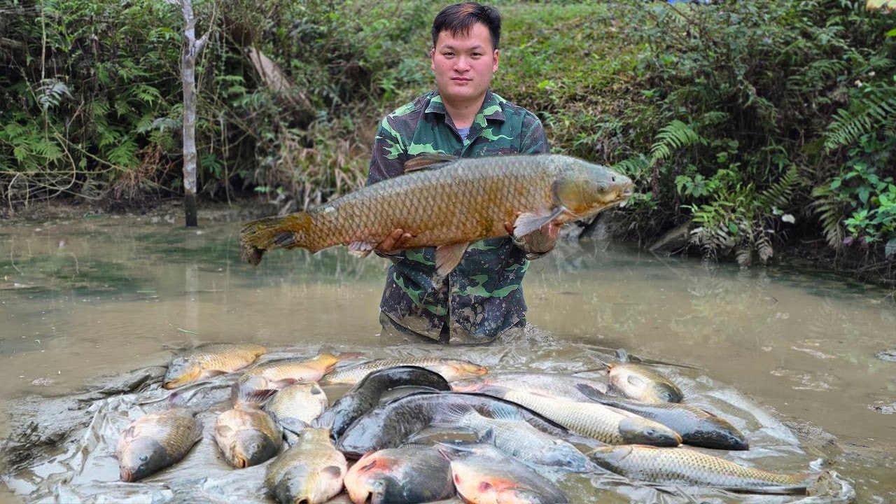Young CEO harvests giant fish and learns how to preserve them for a long time.