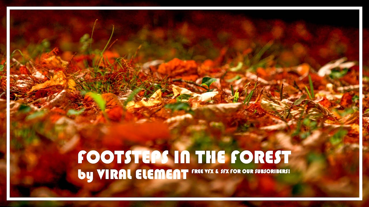 Footsteps in Forest Sound Effect [FREE]
