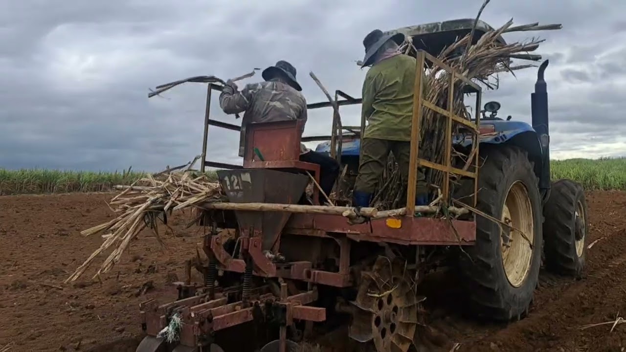 Gân tet roi cay kiem tien thôi ae ơi