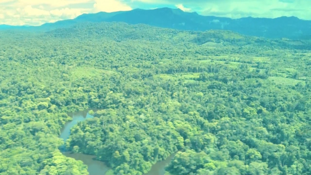 Yanomamis lutam contra a Covid-19 na selva