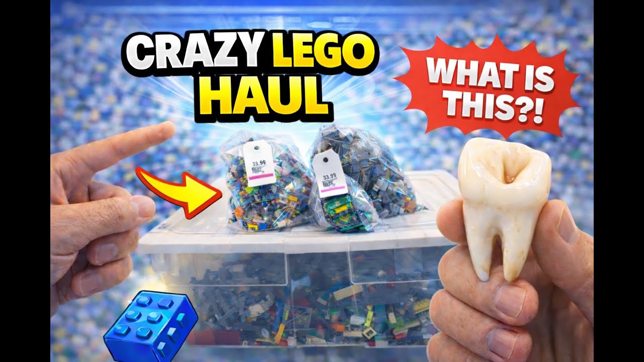 CRAZY LEGO Thrift Store Haul 😱 Minecraft, Ninjago & THIS?!