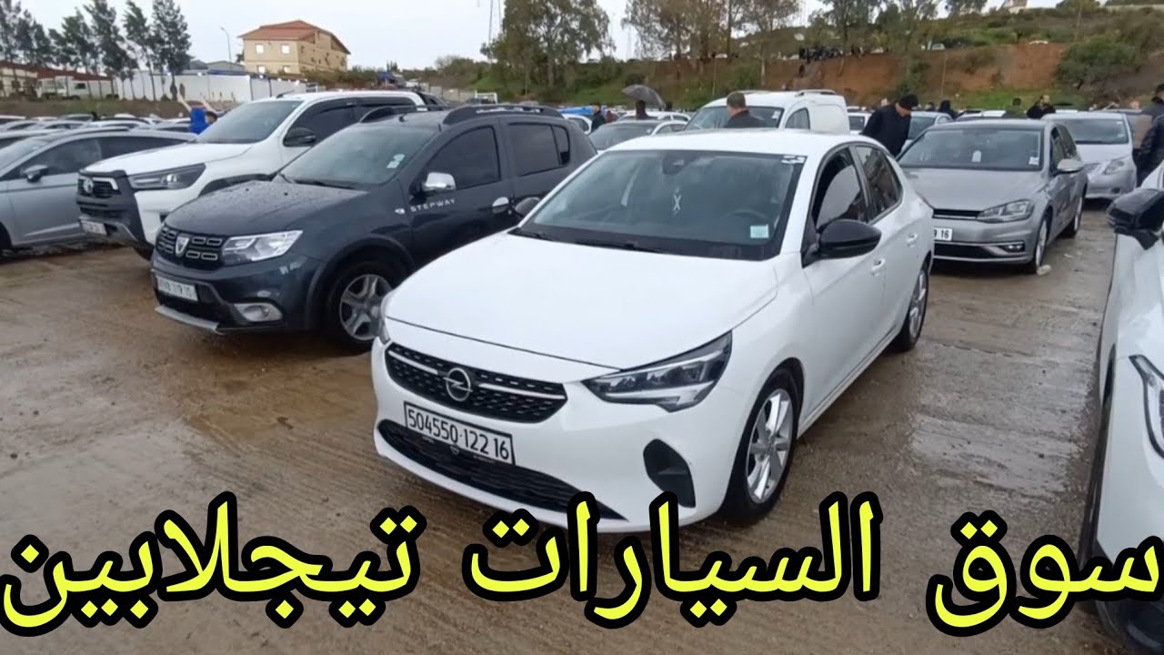 أسعار السيارات اليوم 9 مارس 2026 سوق السيارات تيجلابين شاهد 