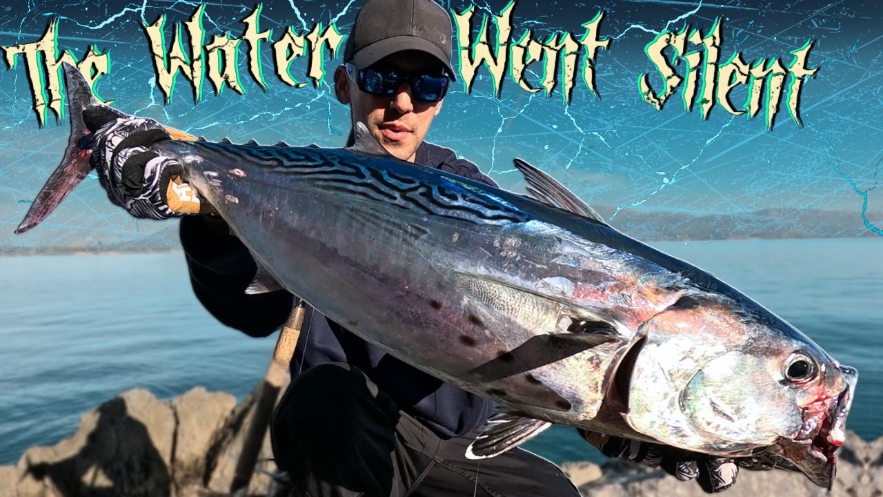 Shore Jigging για Πελαγικά ΨΑΡΙΑ τον Χειμώνα!