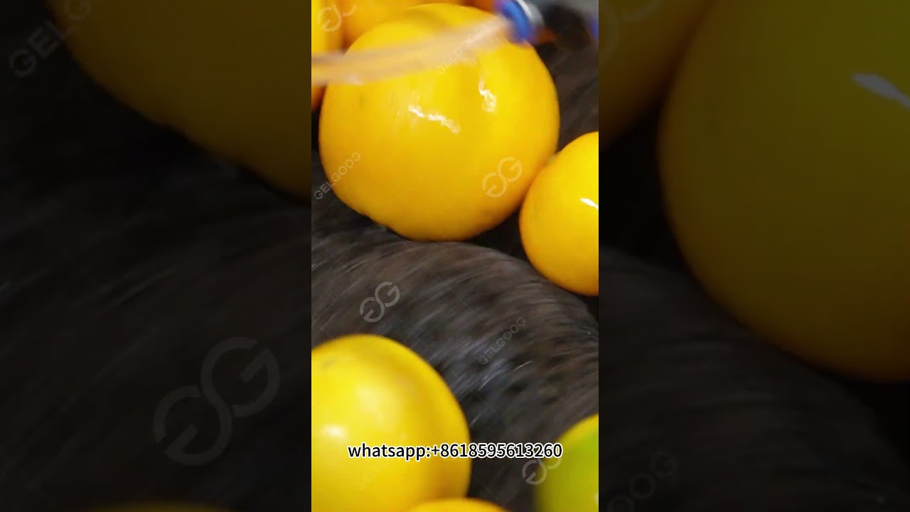 Citrus Washing Waxing And Grading Processing Line