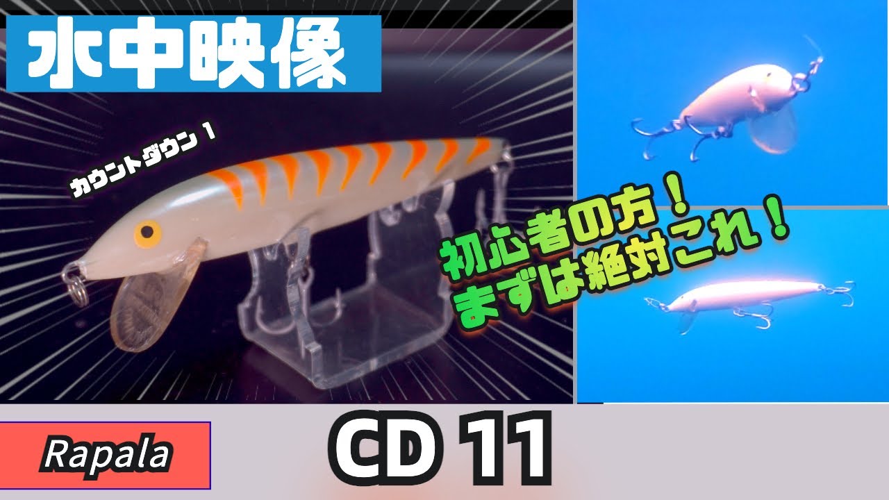 【水中映像】シーバス初心者の方は迷ったらこのシンキングミノーを買ってください！【CD11】【ラパラ】