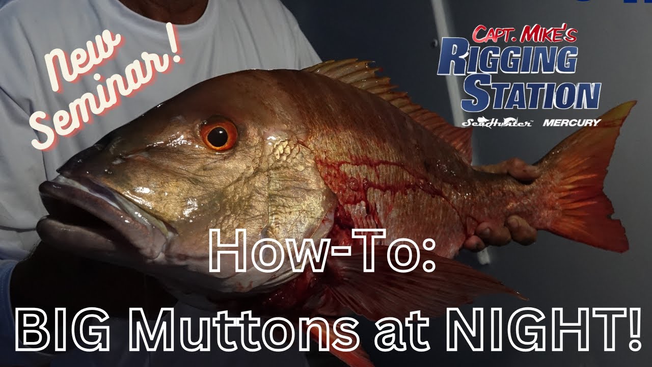 Nighttime Fishing Rigs I #Snapper #Grouper #Blackfin I Pulley Ridge I Gulf of Mexico #LongRange