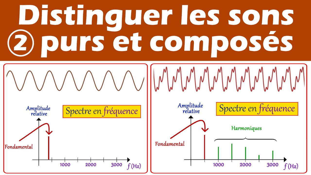 Distinguer un son pur d'un son compos&eacute; (sinuso&iuml;de et spectre) 1&egrave;re enseignement scientifique