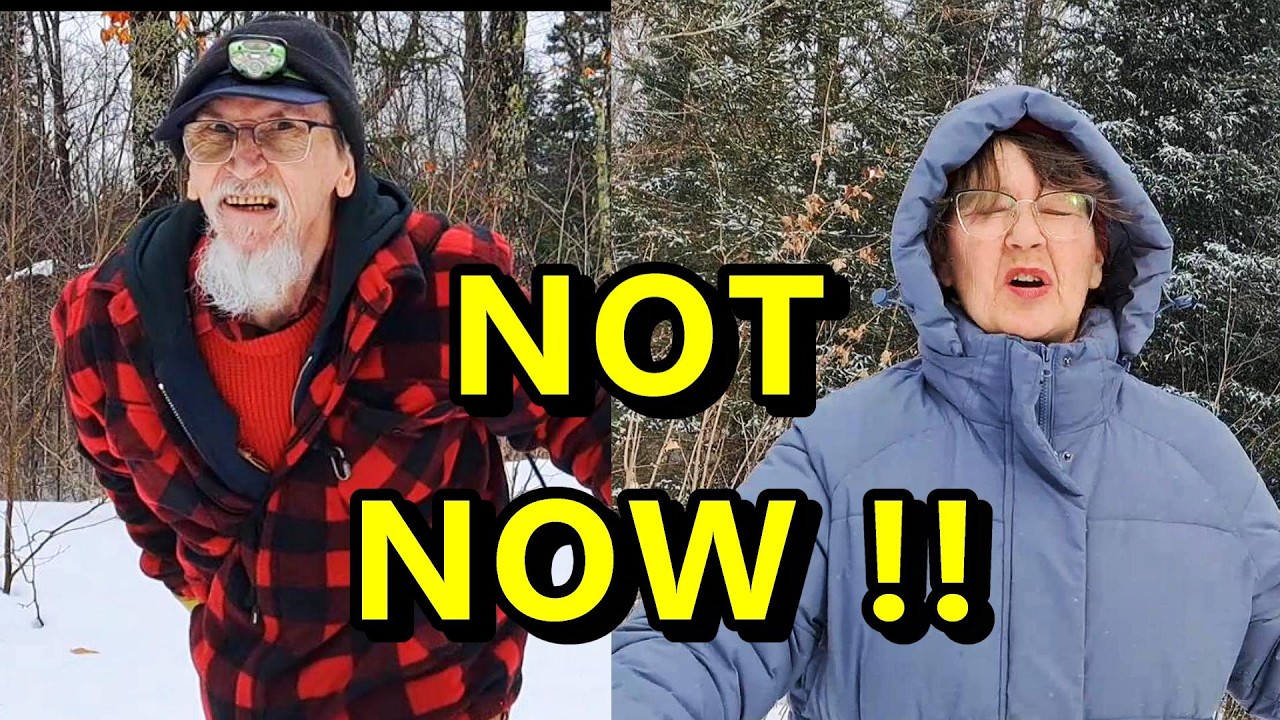MOST People WILL Do THIS! Brace for Big Changes | OFF GRID Cabin in the Canadian Wilderness