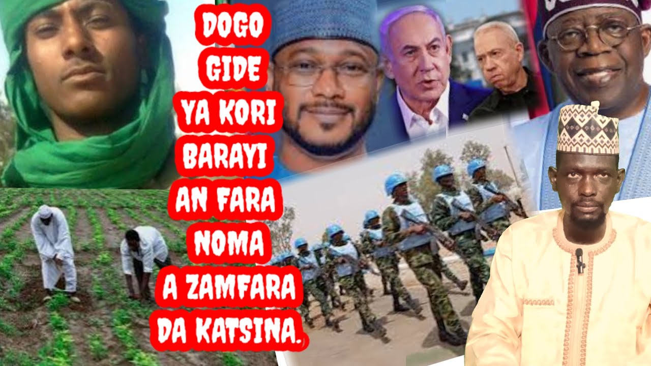 Bayan sulhu, Dan bindiga dogo gide ya kori barayi, an fara noma a zamfara da katsina.