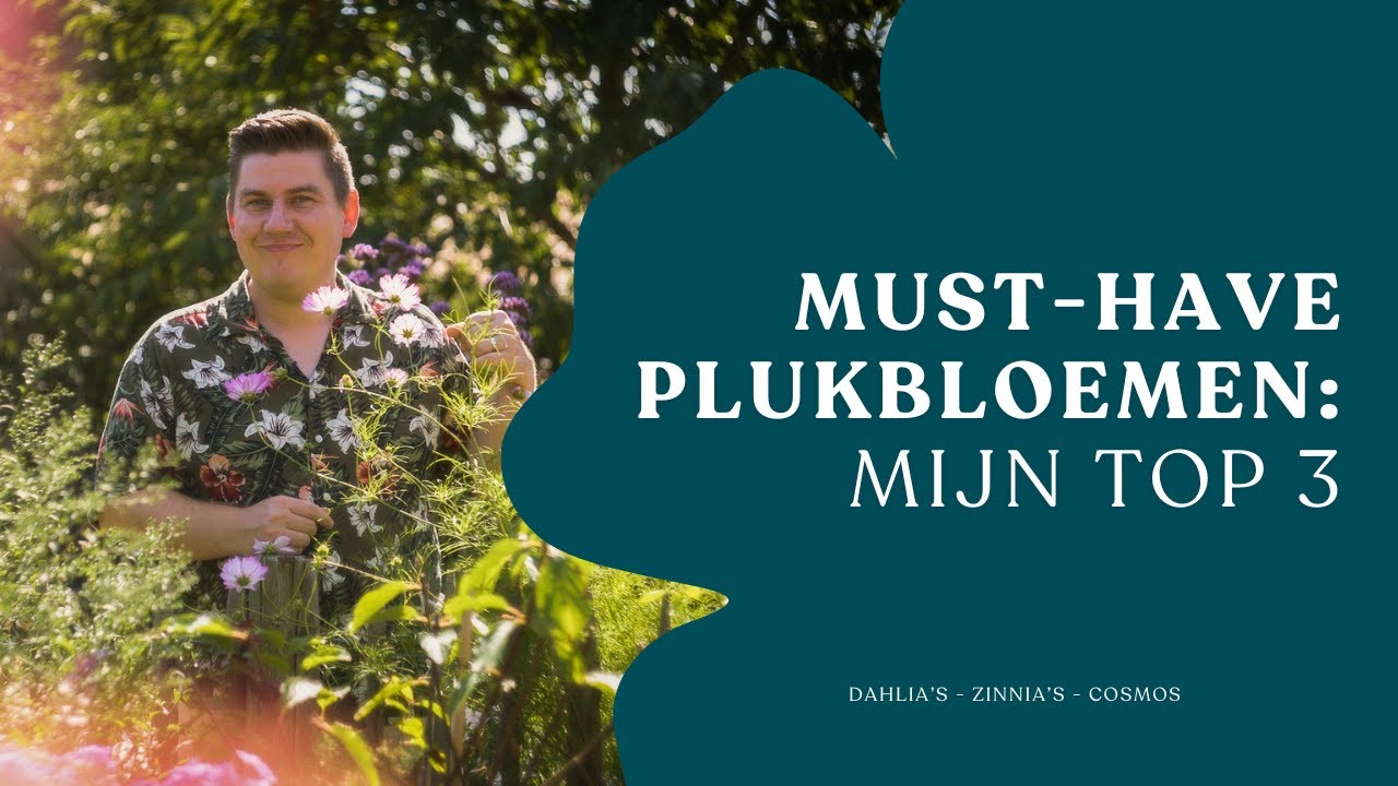 Must-have plukbloemen: mijn 3 favoriete soorten I Angelo Dorny