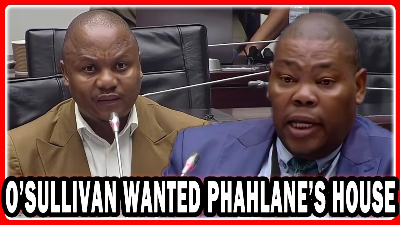 MP Nqola Questions ADV Michael Mashuga “Your Testimony Will Be Helpful As Paul O’Sullivan Returns”