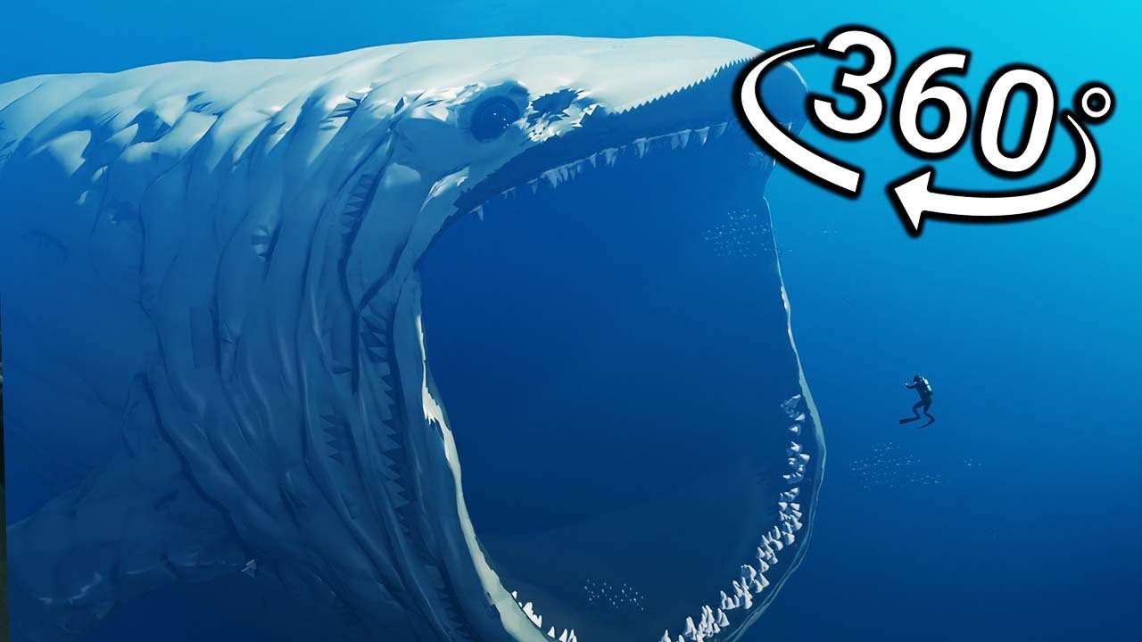360&deg; VR - BLOOP Eats You