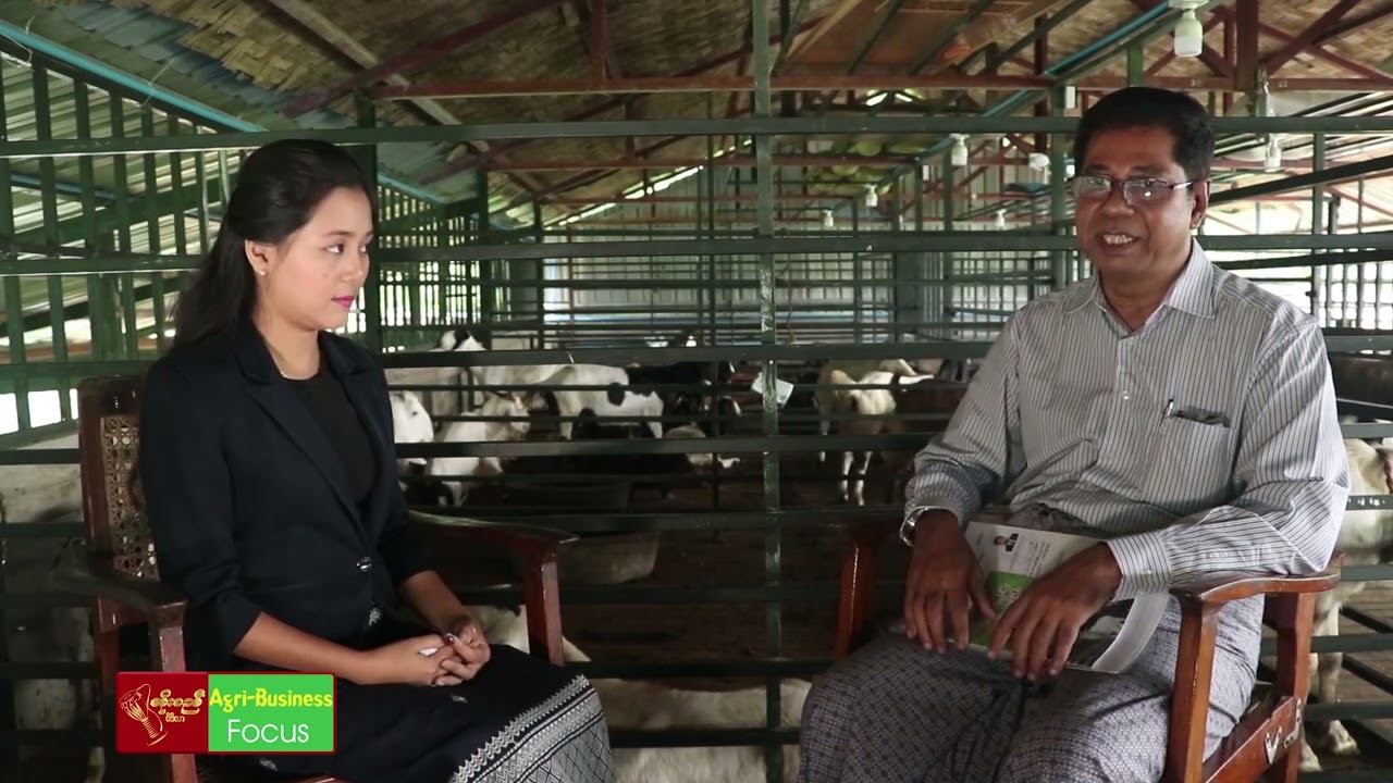 ဆိတ်မွေးမြူရေး (အပိုင်း - ၁)