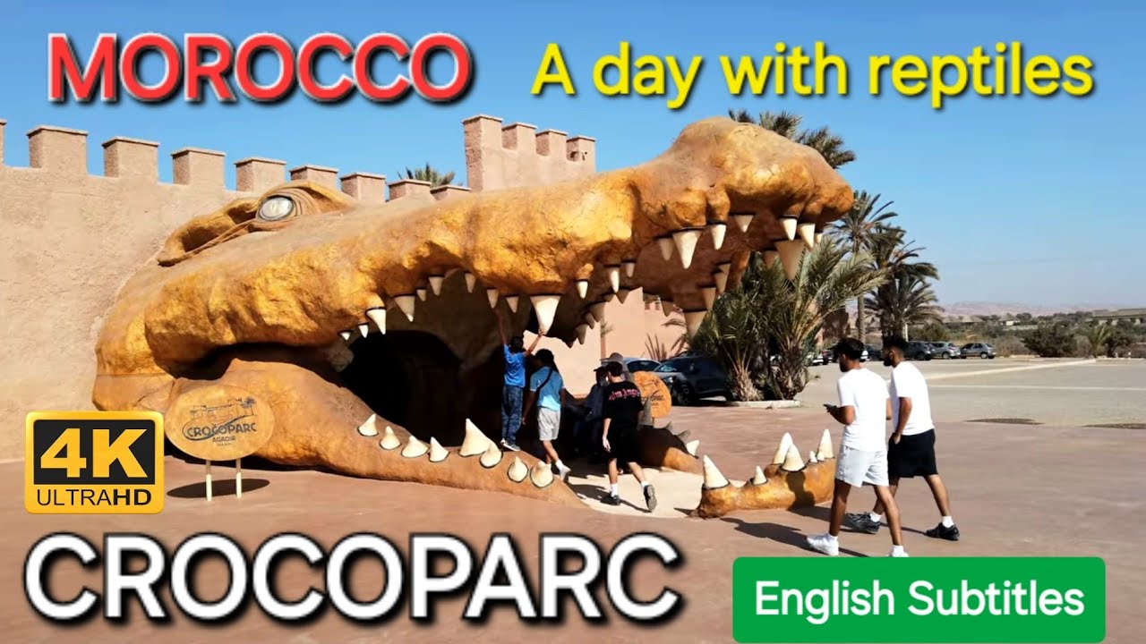Agadir Crocoparc | Exploring Morocco&rsquo;s المغرب Famous Crocodile Park 🇲🇦 in 4K with English Subtitles