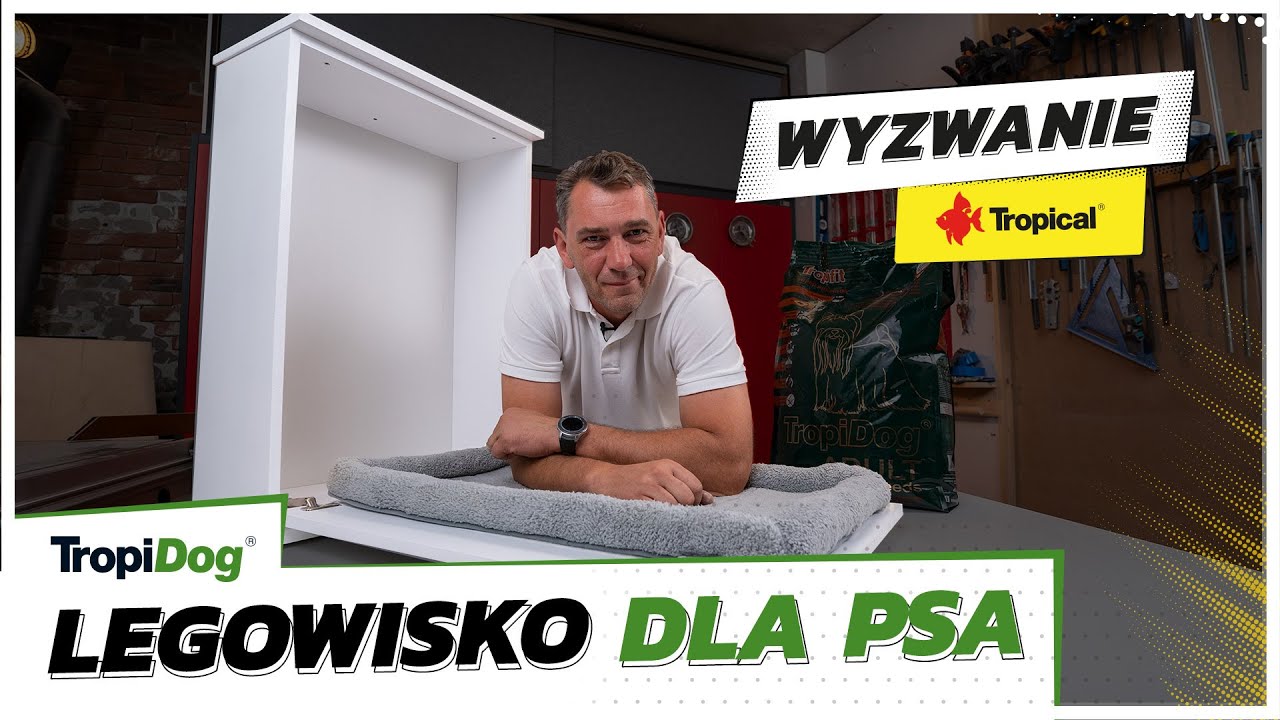 Zr&oacute;b to sam: legowisko dla psa | Darek Stolarz