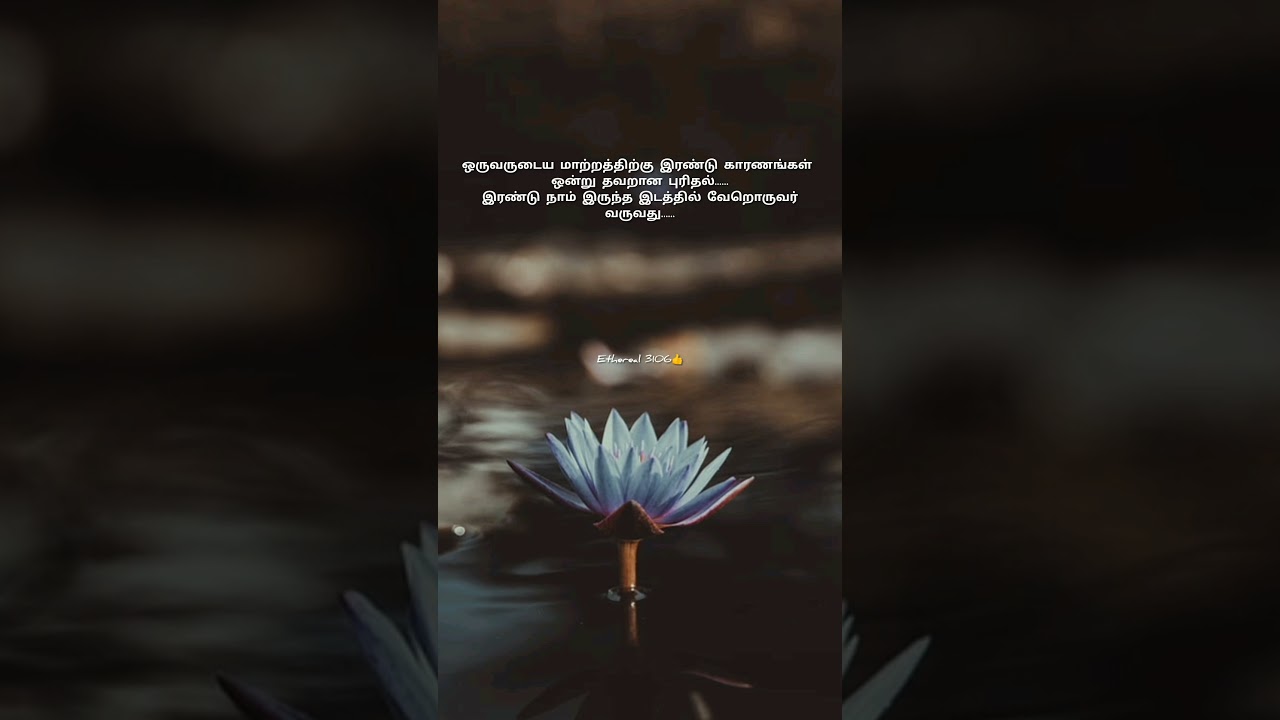 இரண்டே காரணங்கள் தான்😺🥺.... # short # tamil # Ethereal 3106👍🫂💕