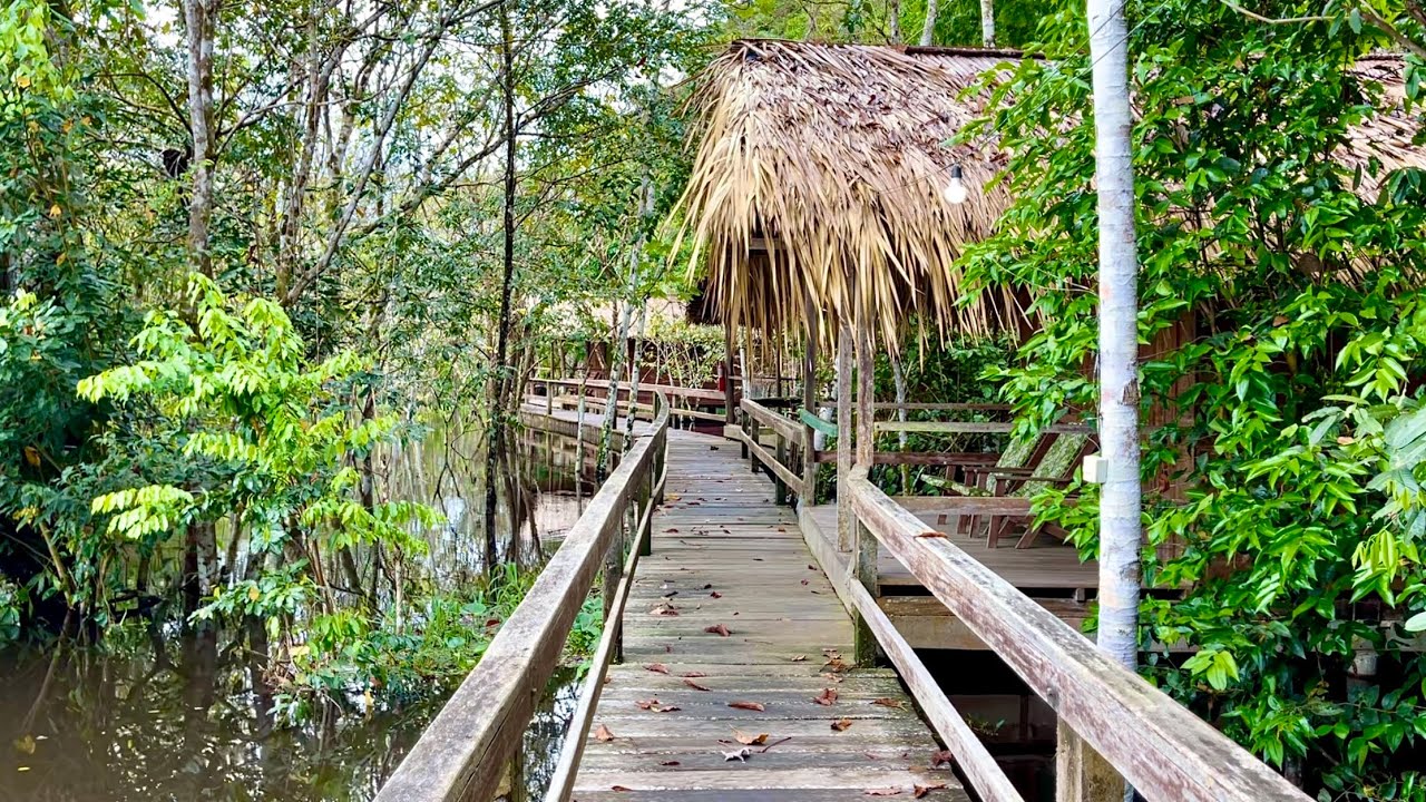 🛖🌴Finding the Perfect Jungle Lodge in the Amazon! 🇧🇷