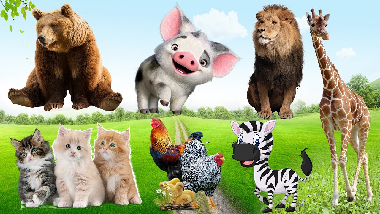 Loving sky with rich, lovely animals