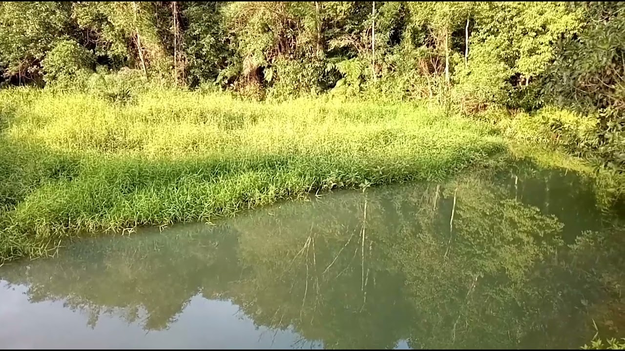 Na calada da noite elas  atacam e acaba com tudo!