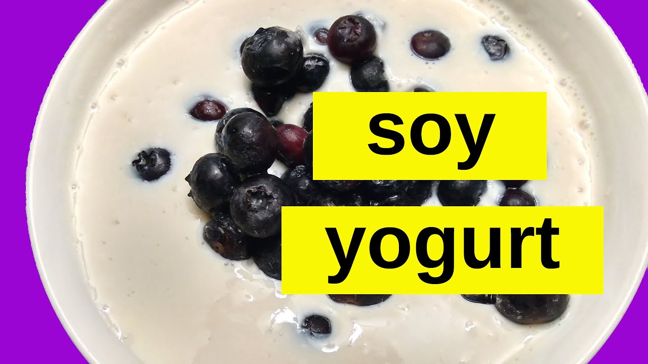 THE BEST SOY YOGURT 🍨Vegan + Probiotic | Plant Based, Gluten Free Recipe | HCLF | Easy Fermentation