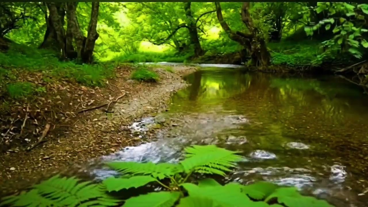 Musik Relaxation