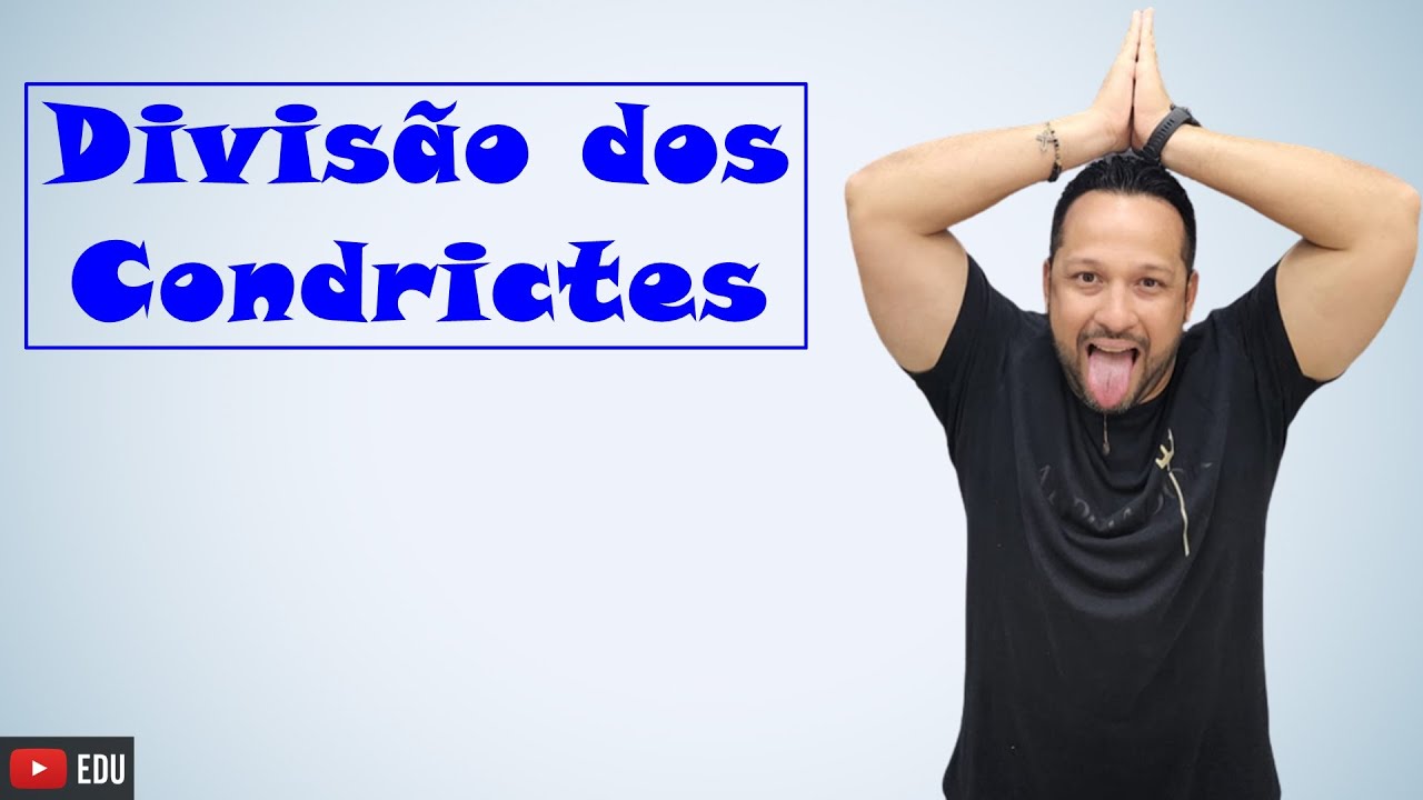 Classifica&ccedil;&atilde;o dos Condrictes - Holoc&eacute;falos (Holocephali) e Elasmobr&acirc;nquios (Elasmobranchii)