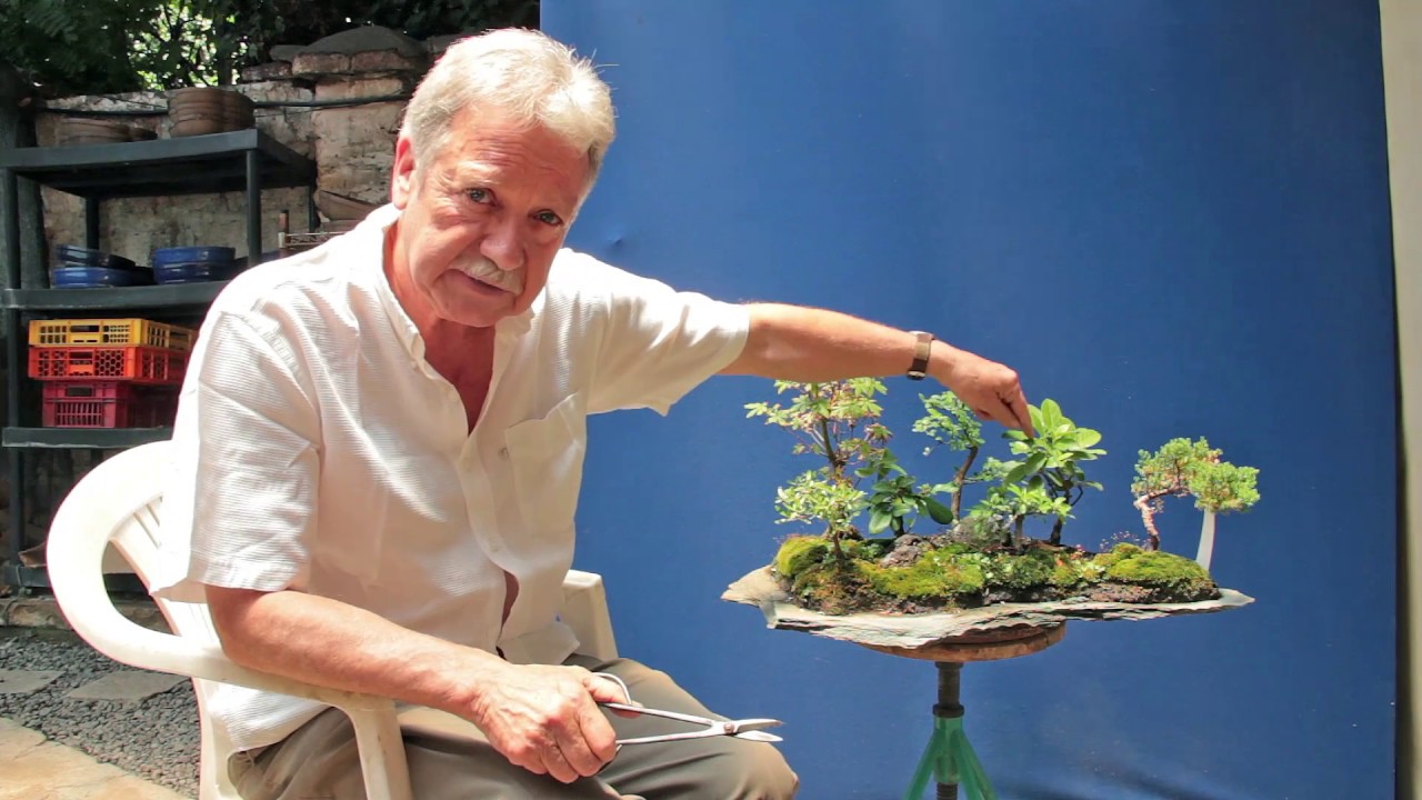 Como hacer un Saikei Bonsai o Paisaje sobre Roca