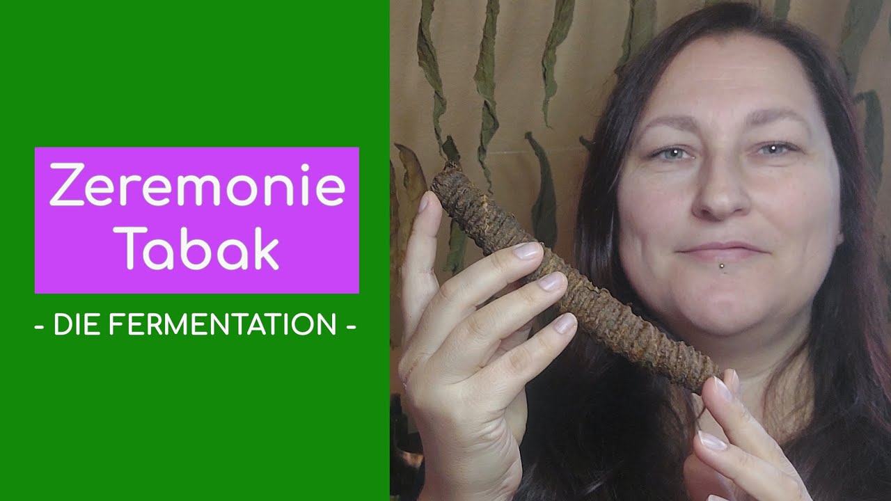 Zeremonie Tabak - DIE FERMENTATION (Mapachorolle)