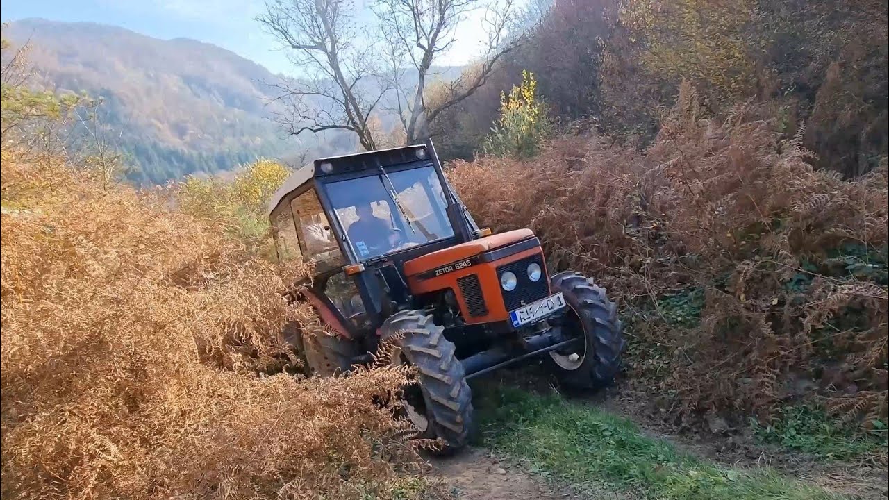 Zetor 6245 - Spuštanje drva PRELIJEPIM ŠUMSKIM PUTEM (Na vrijeme izvukli)