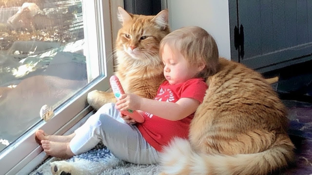 This Cat Is the Baby’s Best Friend 🥺