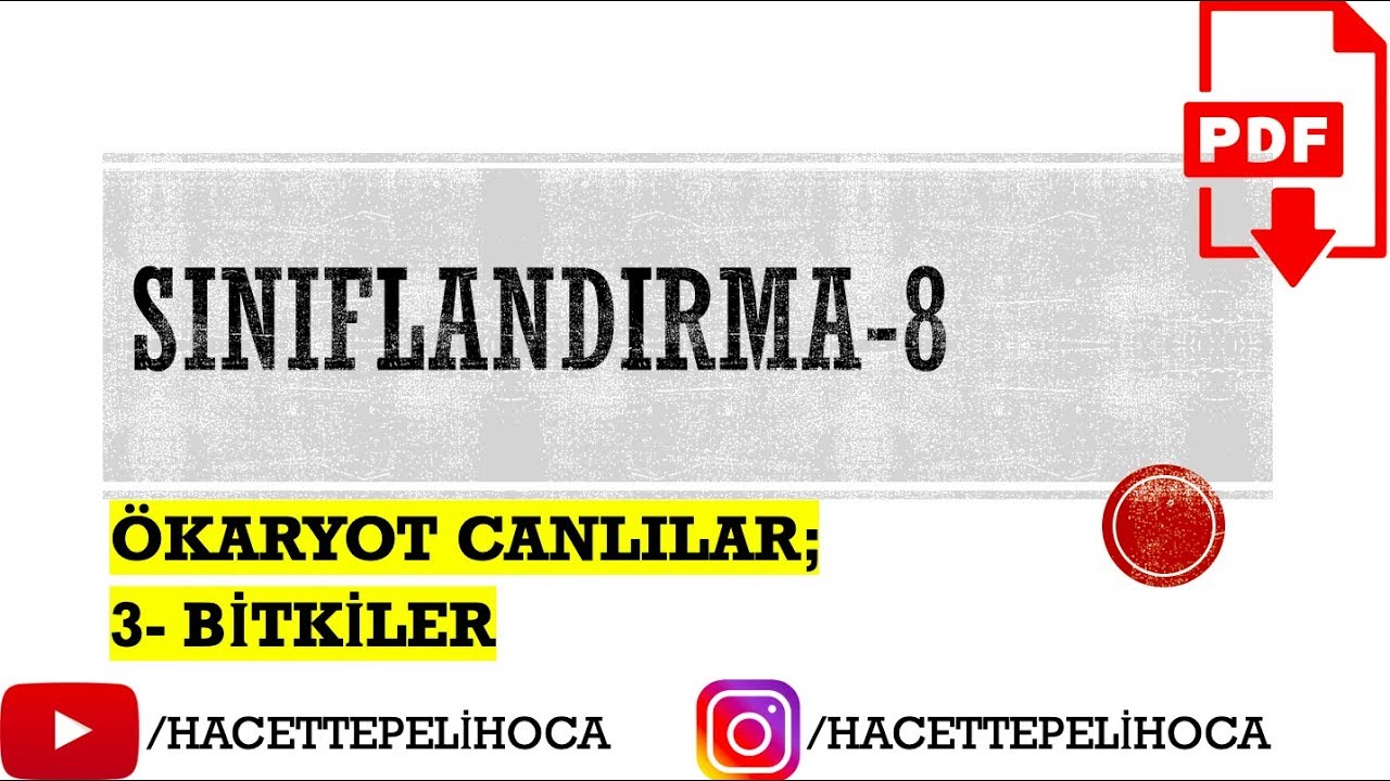57 - SINIFLANDIRMA - 8 - BİTKİLER - | TYT | 9.Sınıf | #hacettepelihoca