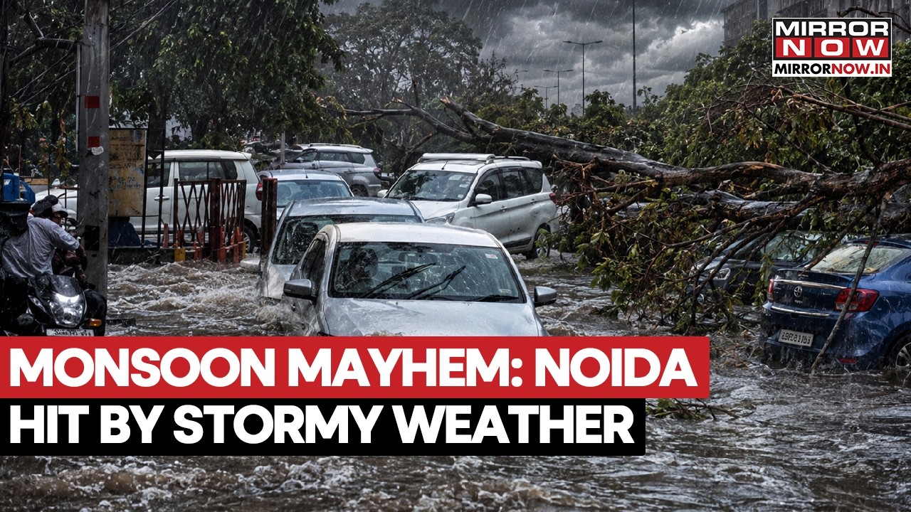 Monsoon Mayhem In Delhi-NCR: Storm Smashes Noida, Leaving Chaos  | Waterlogging & Trees Uprooted