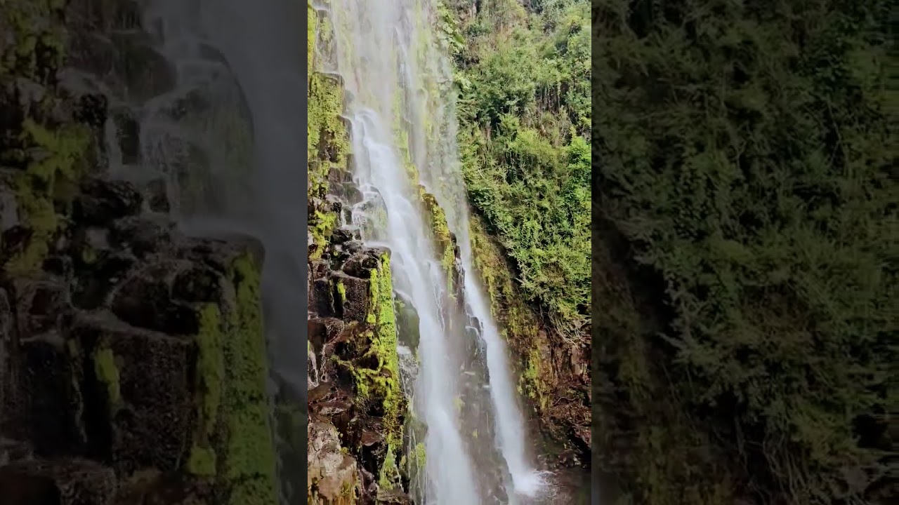 Salto la Placeta Maule Chile #shorts