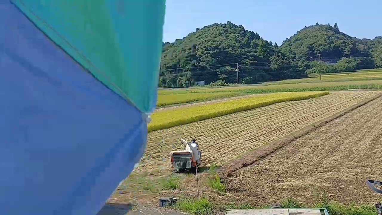 【五穀豊穣】稲刈り最終日後半【2025.8/26】
