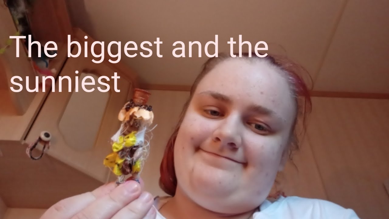 I made THE BIGGEST SUNNY FLOWER doll
