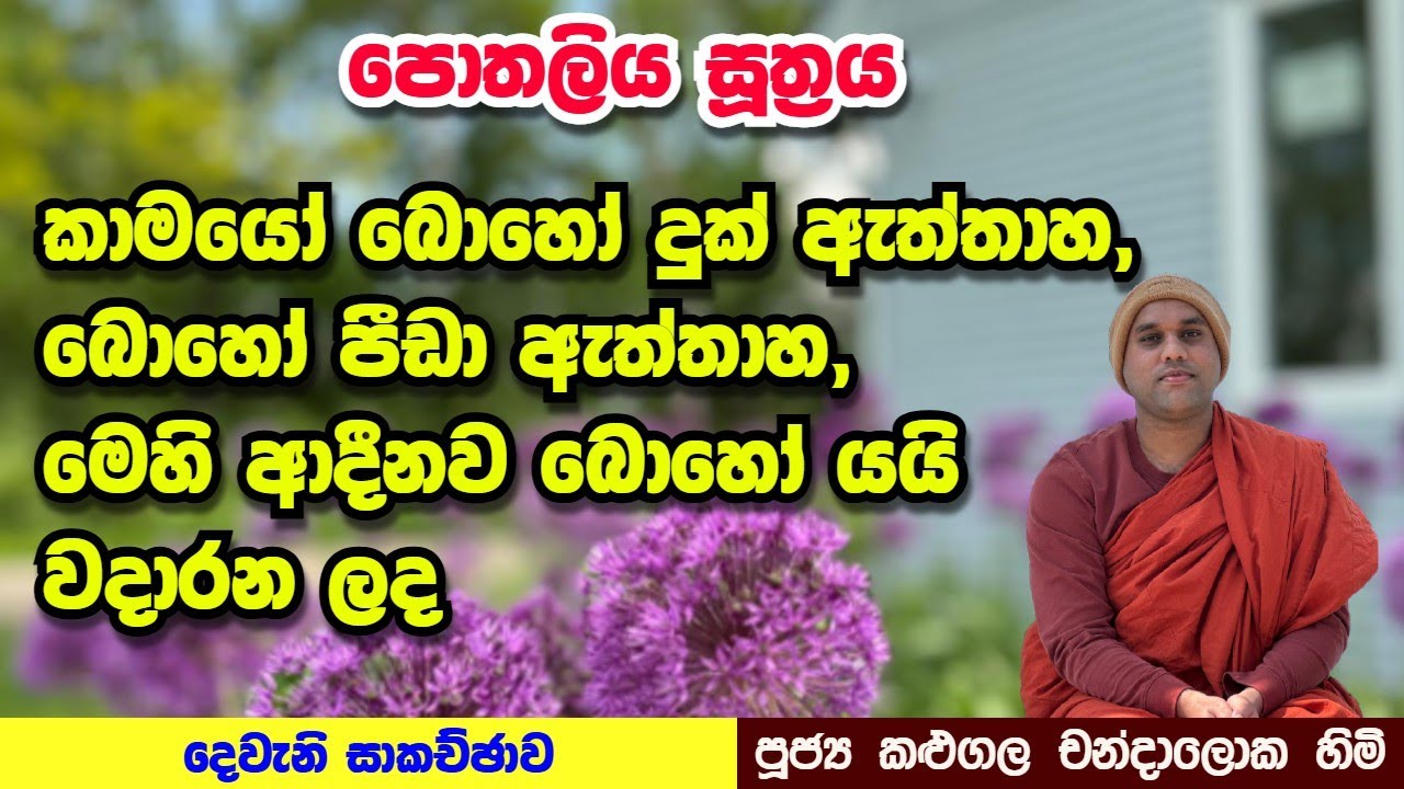 පොතලිය සූත්‍රය | කාමයෝ බොහෝ දුක් ඇත්තාහ, බොහෝ පීඩා ඇත්තාහ, මෙහි ආදීනව බොහෝය