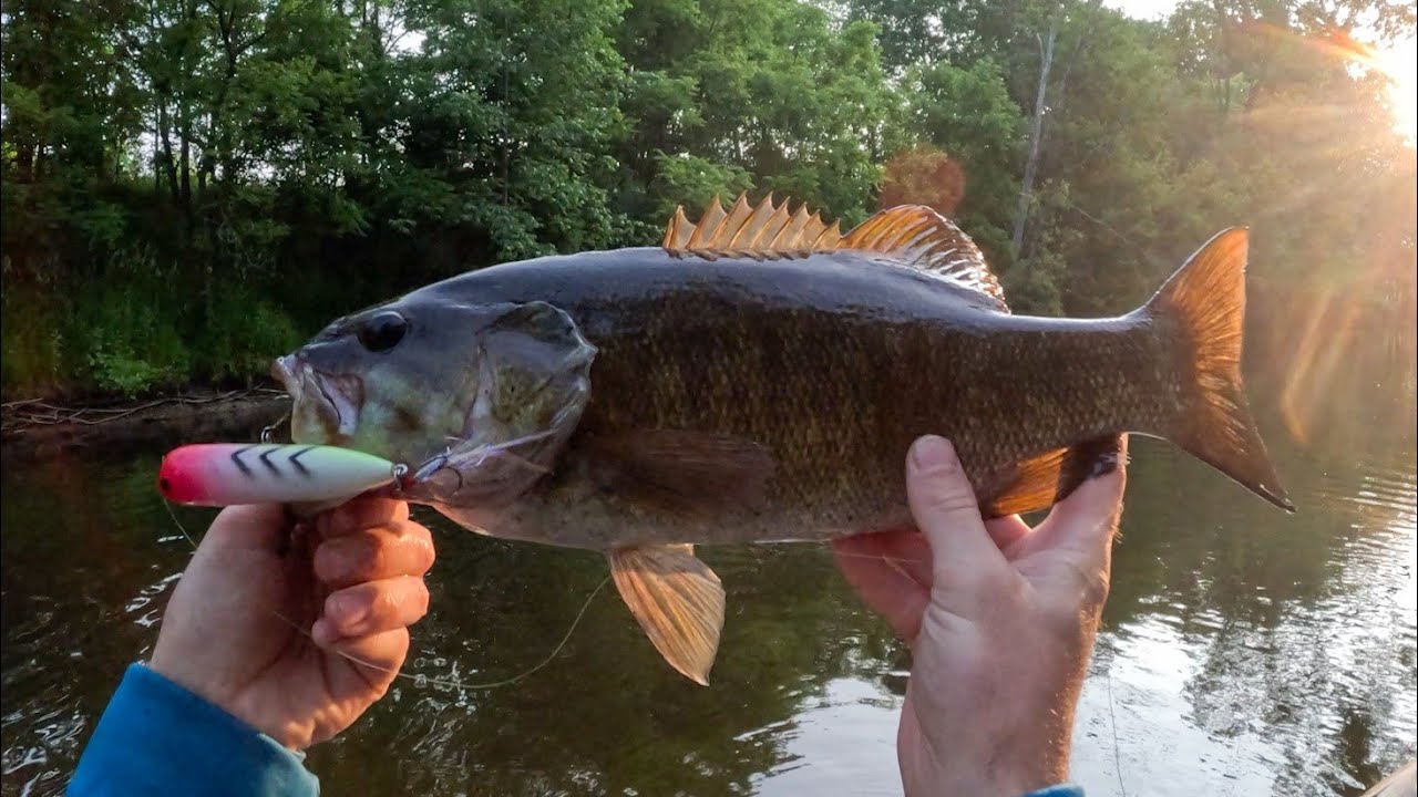 River Smallie Fishing | Topwater Kayak Fishing