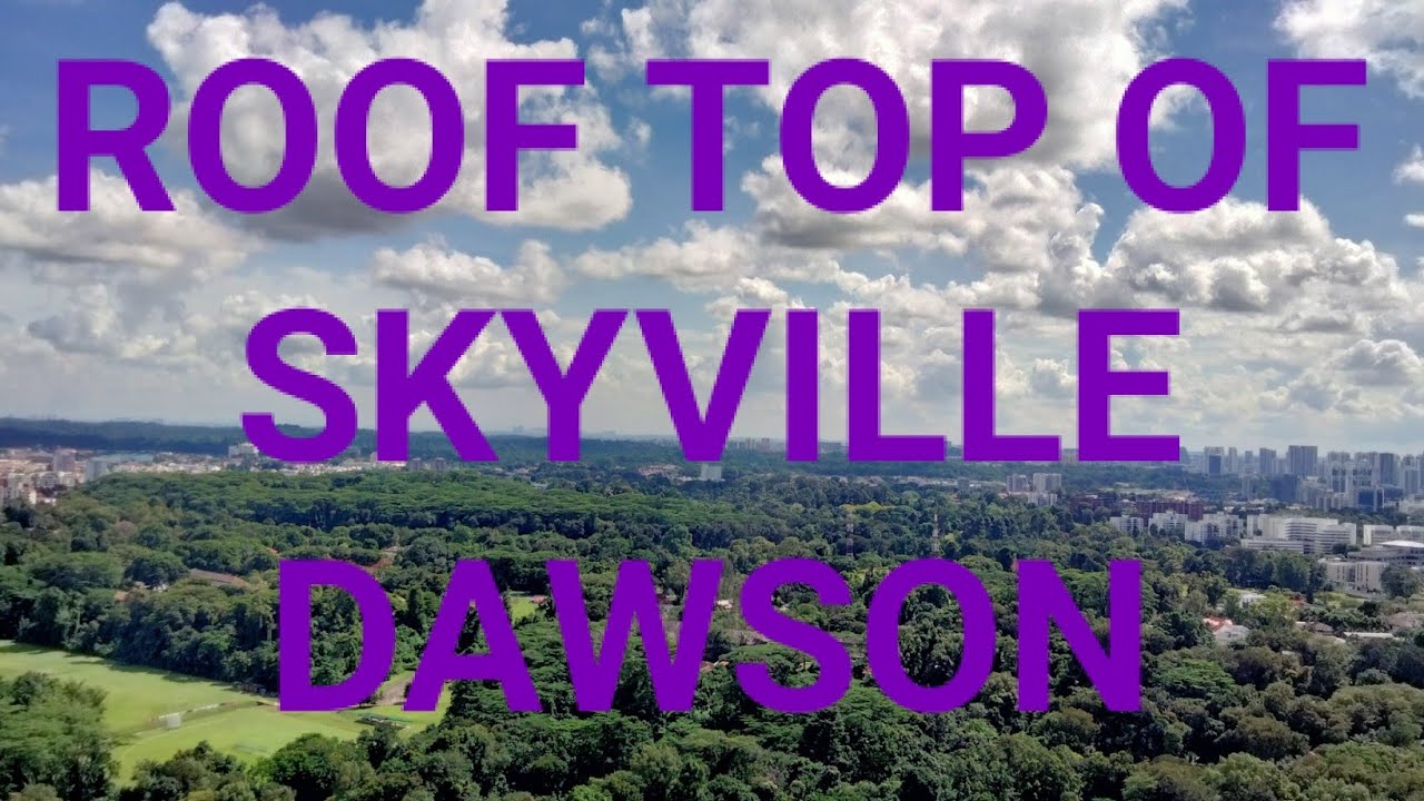 SKYVILLE DAWSON ROOF GARDEN/LETS HAVE A LOOK@jaimietv1245
