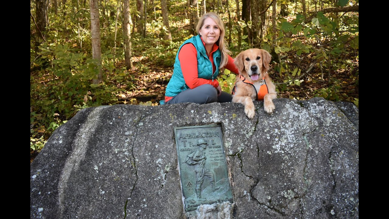 Unicoi Gap to Rocky Mountain on the Appalachian Trail