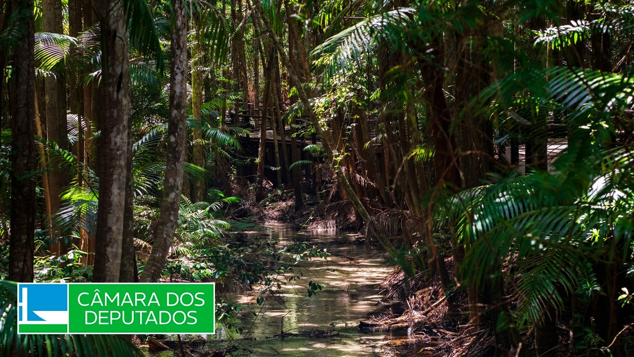 Amazônia e dos Povos Originários e Tradicionais - Discussão e votação de propostas legislativas ...