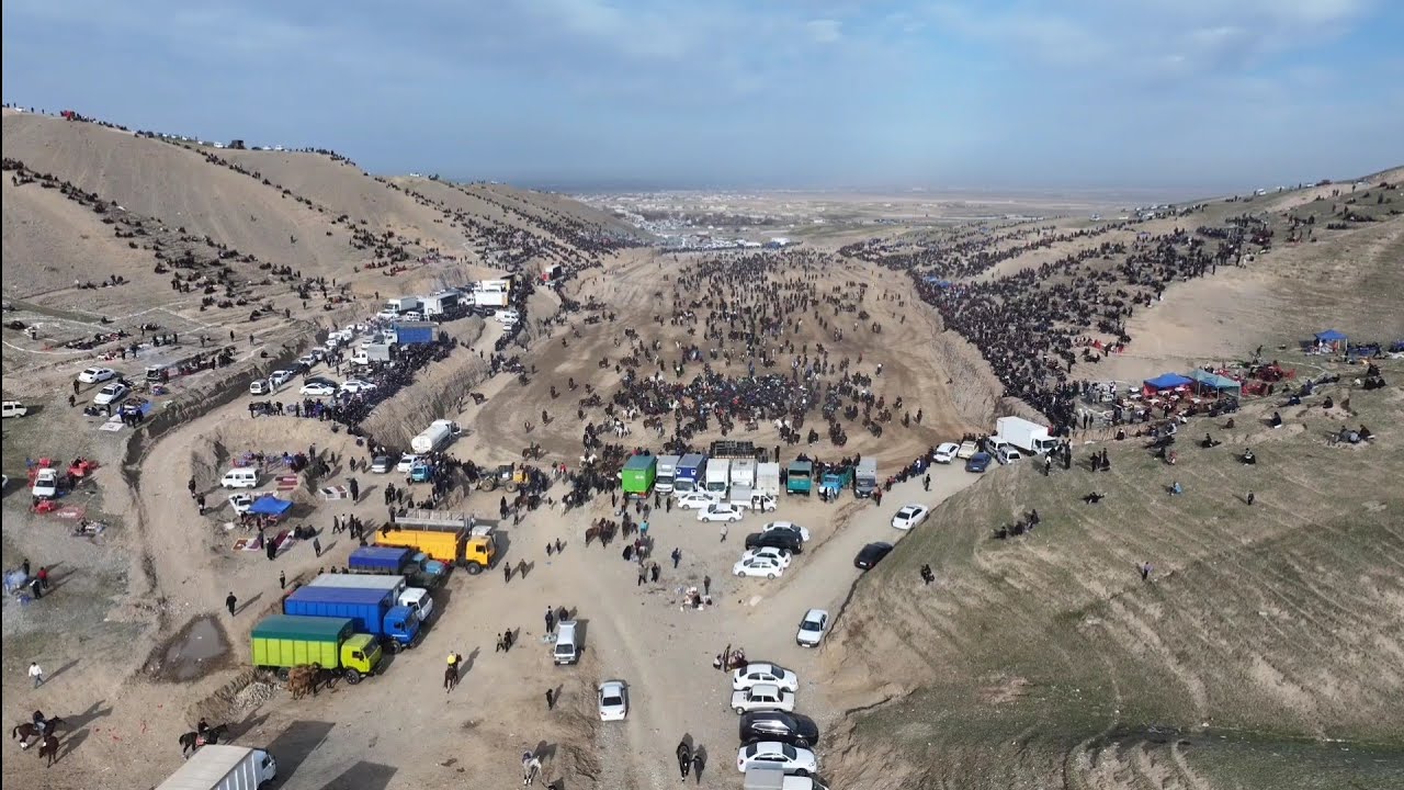 11.01.2026 ZOMIN OQTOSH MAYDONIDA KATTA CHEMPIONAT KOʻPKARI TOʻLIQ VIDEO.