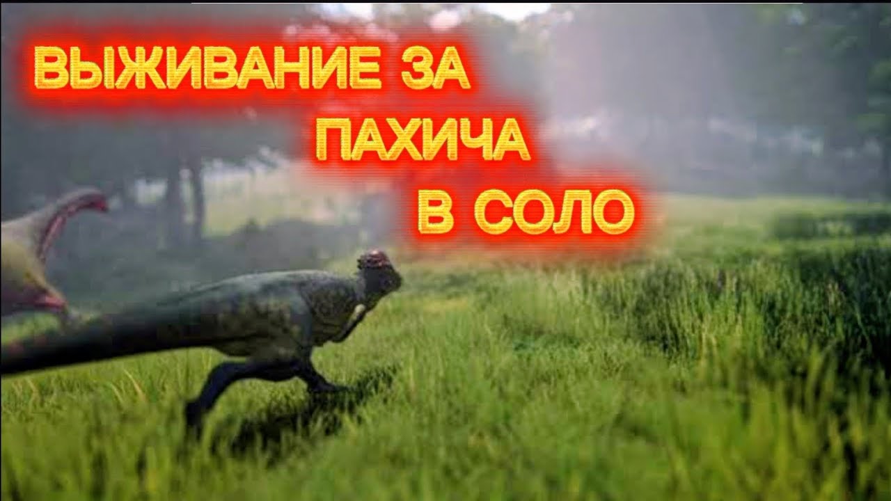 ВЫЖИВАЕМ ЗА ПАХИЧА ОТ 0 ДО 100% НА САМОМ БОЛЬШОМ СЕРВЕРЕ НА Е4 В СОЛО!