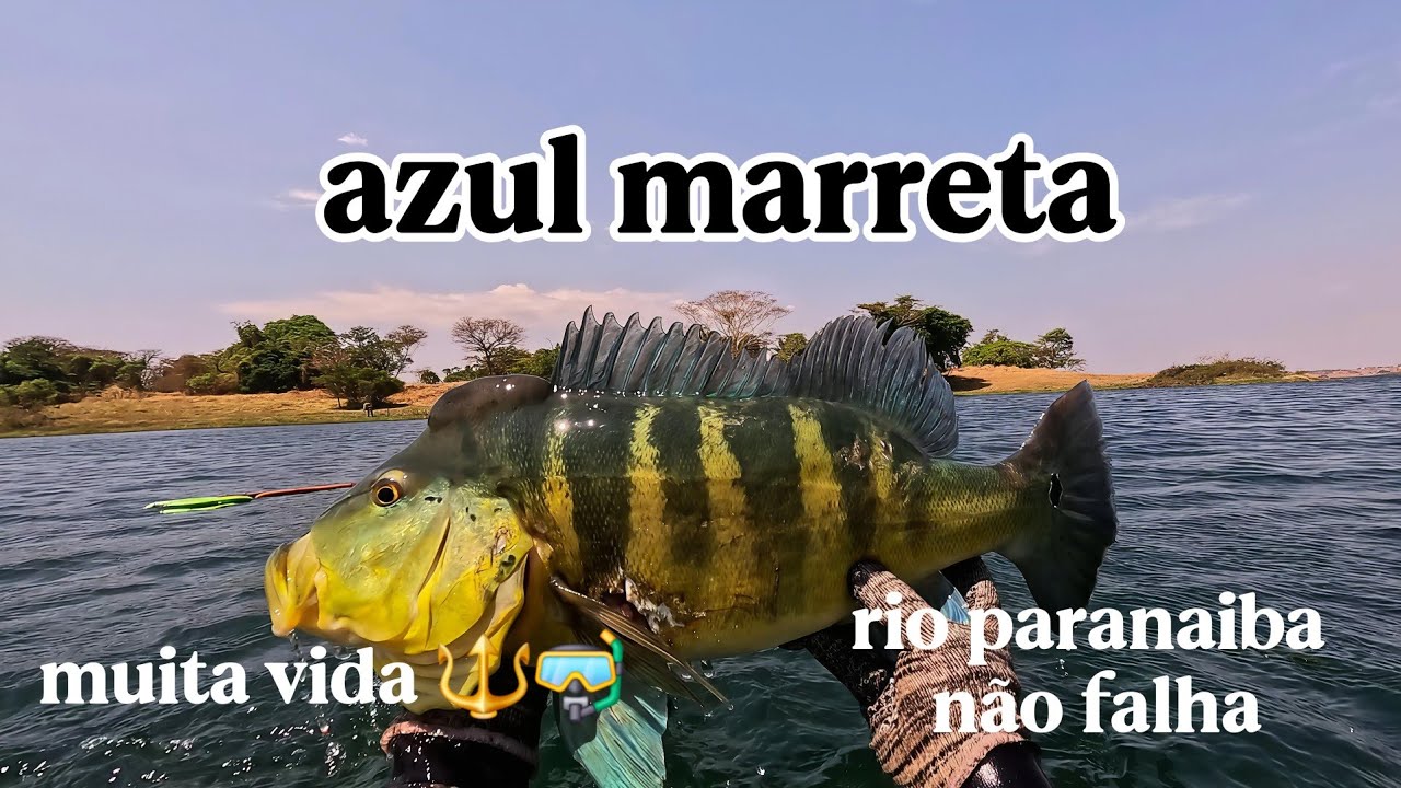 Pesca sub, Rio paranaiba muita vida 🔱🤿