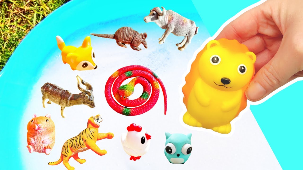 Fun Animal Names for Kids to Learn: African Buffalo Snake Kudu Chicken Reindeer Koala