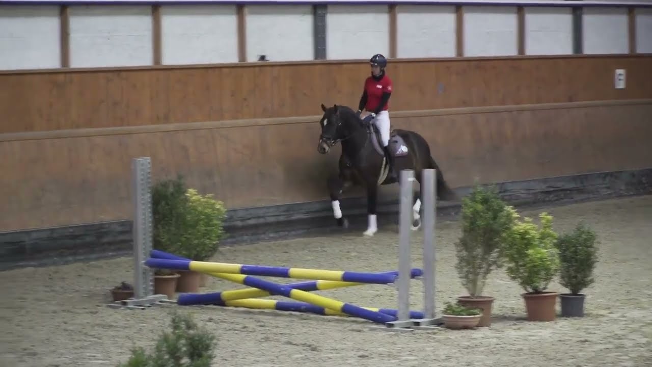 2 Equitation/Reiten TES/ST Avenches 28.02.2026 - 110 Leslo - 113 Casting