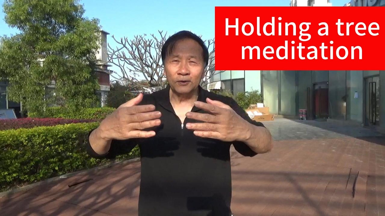 Медитация на дереве #zhinengqigong #taichi #taoteching #qigong #qigongtaichi