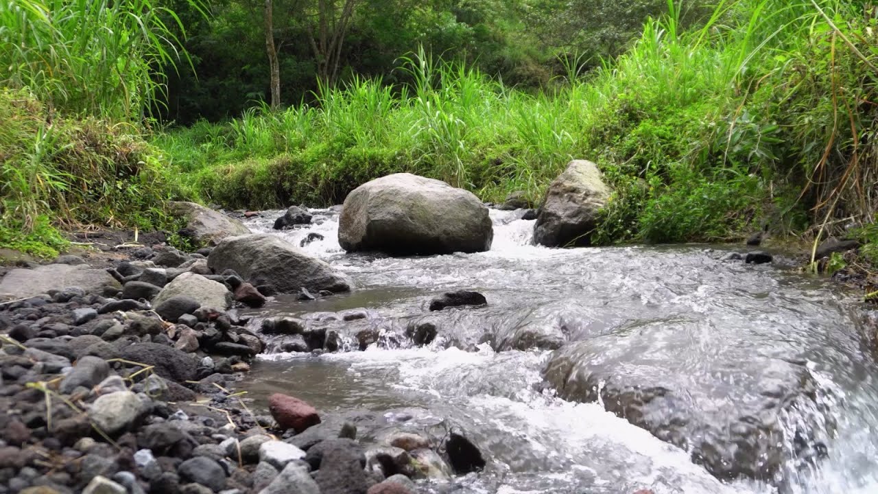 1 Hour of flowing river sounds for sleeping, relaxation, work, study