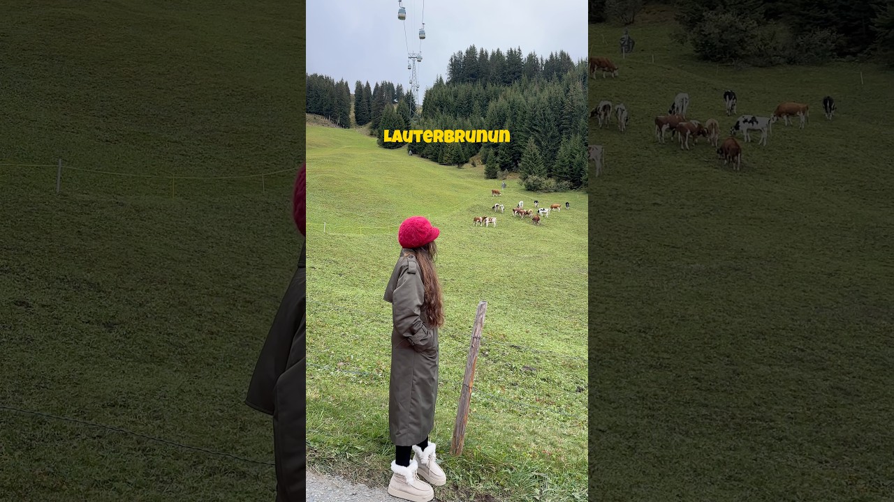 Switzerland🇨🇭Lake Brienz to Lauterbrunnen 🇨🇭 | Must-Do + Budget Trip 