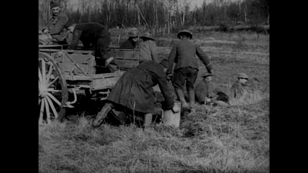 Occupation of the Chemin des Dames Sector, February 6th to March 22, 1918---26th Division