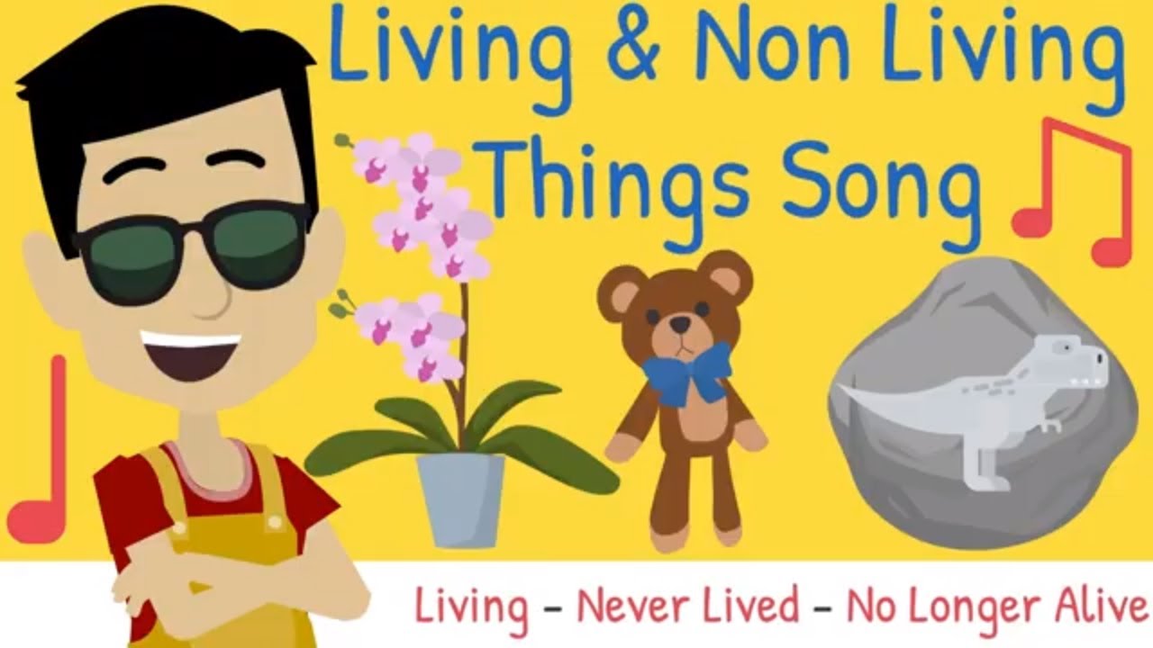Living and Non Living Things Song for Children | Science Song | KS1 & KS2
